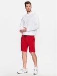 Спортивные шорты regular fit 4FSS23TSHOM156 4F, красный - фото 3