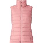 Западный лебедь Mckinley, розовый - фото