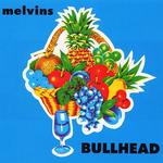 Виниловая пластинка LP Bullhead - Melvins - фото