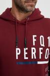 Толстовка Fq1924, бордо - фото 4