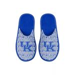 Молодежные тапочки-шлепанцы с надписью FOCO Kentucky Wildcats Unbranded - фото