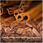 Натуральное мыло с корицей Friendly Soap, 95 гр - фото 4