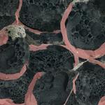 Виниловая пластинка Chenaux, Eric: Say Laura - фото