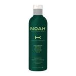 Шампунь keratin protect restructuring shampoo Noah, объем 250 мл. - фото