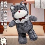 KUMAOYA Плюшевая кукла Gold Gradient Silver Gradient Kitten Dolls высотой 50 - фото 8