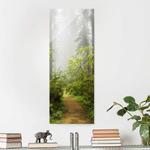 Стеклянная картина Bilderwelten Nebliger Waldpfad - фото 4