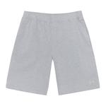 Шорты Stussy Double Layer Jersey Short 'Grey Heather' - фото