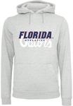 Толстовка с капюшоном Merchcode Sweatshirt Florida Gators, серый - фото
