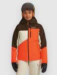 Куртка для сноуборда O'Neill Fwc'Cruz Triple Jacke, coffee bean colour block - фото