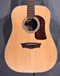 Washburn HD100SWECK (2020) - фото