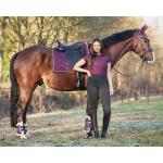 Ботинки для путового сустава QHP - фото 2