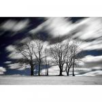 Фильтр Hoya 62mm R72 Infrared Filter B-62RM72-GB - фото 6