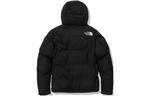 Куртка мужская черная The North Face, черный - фото 2