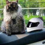 Шлем мотоциклетный Cat PUMEXFE, белый - фото 6