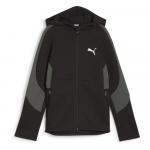 Толстовка Puma Evostripe Dk Full Zip, черный - фото