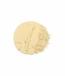 Пудра T.LeClerc Dermophile Pressed Powder, Nr. 02 - Banane, 10g - фото 2