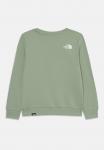 Толстовка The North Face SIMPLE DOME CREW, Light Green - фото 2
