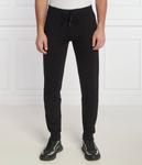 Спортивные штаны мужские Iceberg узкие на кулиске, черный - фото