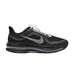 Кроссовки Nike Pegasus Premium SP, Black Metallic Silver - фото