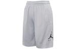 Jordan Мужские баскетбольные шорты, цвет Gray - фото