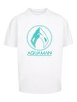 Футболка F4NT4STIC DC Comics Aquaman Aqua Logo, белый - фото