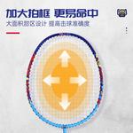 Ракетка для бадминтона DOUBLE FISH, pisces badminton racket - фото 6