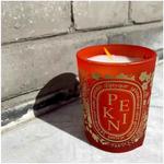 Ароматическая свеча Diptyque - фото 4