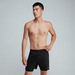 Мужские пляжные шорты Black Speedo - фото 4