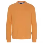 Толстовка Sea Ranch Winston, оранжевый - фото