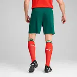 Шорты Puma FPF Portugal Replica, зеленый - фото 4