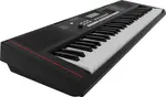 Roland E-X10 - фото 5