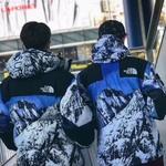 Куртка Supreme FW17 x The North Face Mountain Parka SUP-SS18-600, синий - фото 4