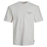 Футболка Jack & Jones Blasanchez Short , белый - фото
