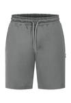 Спортивные шорты Smilodox PERFORMANCE LOGO SHORTS XION, Grau/Grey - фото 6