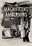 Диск DVD Magnificent Ambersons - фото