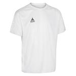 SELECT Джерси Селект Аргентина - фото 2