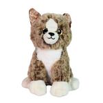 Крупные породистые котята DEEF - фото 5