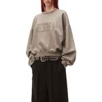 Свитшот Dollar Bill Alexander Wang, металлический серый - фото 4