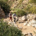 Рюкзак Blazek 15 л Ultimate Direction Ultimate Direction, UD Blue - фото 4