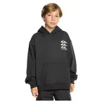 Худи Quiksilver Screen, черный - фото