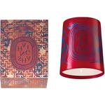 Ароматическая свеча Diptyque - фото 5