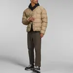 THE NORTH FACE Мужская куртка, цвет Brown - фото 2