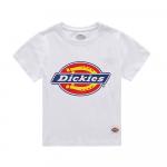 Детская футболка Dickies, черный - фото 40