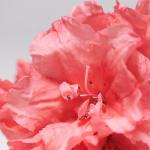 Маска для лица BABOR Moisturizing Foam Mask, 75 ml - фото 4