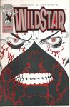 Wildstar #1 : Sky Zero (Image Comics) (Image Comics) - фото