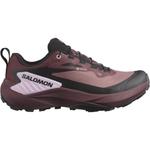 Кроссовки Salomon GENESIS GTX - фото 2