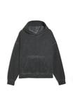 Толстовка Puma WASHED OUT GRAPHIC BOXY, Dusky Gray/Grey - фото