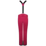 Лыжные брюки Dare 2 Be DIMINISH PANT Beetroot - фото 2