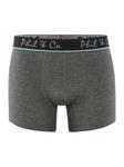 Боксеры Phil & Co Berlin Retroshorts 2-Pack Jersey, цвет green anthra - фото 3