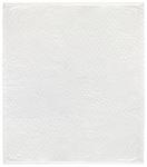 Плед василек Joop!, белый - фото 2